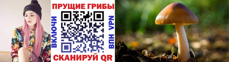 Галлюциногенные грибы Magic Shrooms  Черепаново 